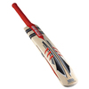 GRAY-NICOLLS Predator Warrior Junior Cricket Bat