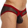 Gregg Homme X-rated maximiser brief