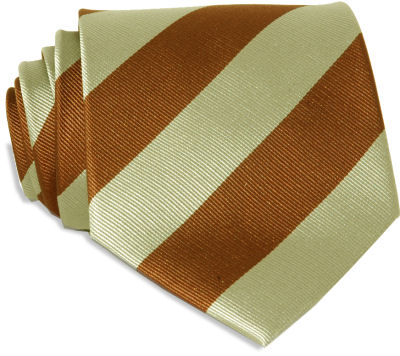 Brown Stripes Tie