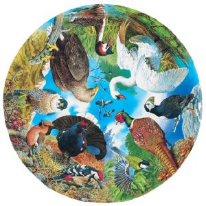 Grovely Jigsaws James Hamilton Grovely Puzzles Birds Of Lake Forest And Field 500 Circular Piece Jigsaw Puzzle