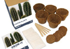 grow your own Cactus Plants