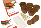 grow your own Chilli Plants