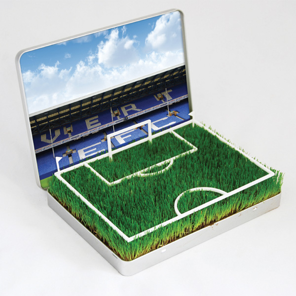 Grow Your Own Everton Pitch