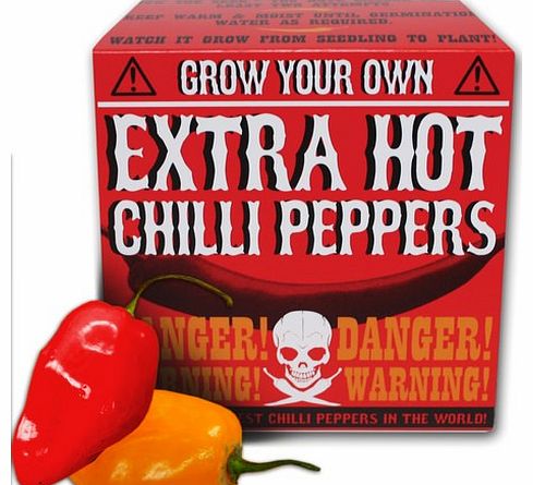 Grow Your Own Extra Hot Chilli Peppers