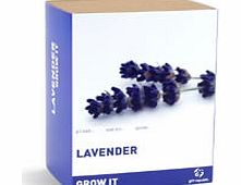 Grow Your Own Lavender