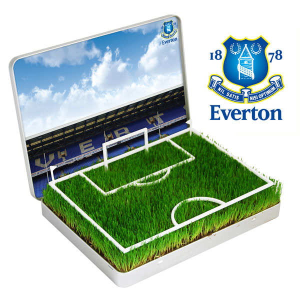 grow your own Mini Football Pitch Everton