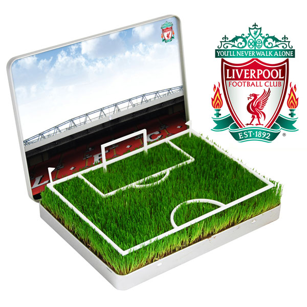 grow your own Mini Football Pitch Liverpool