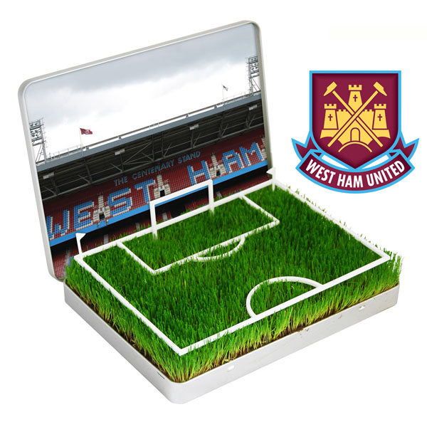 grow your own Mini Football Pitch West Ham