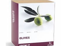 Grow Your Own Olives