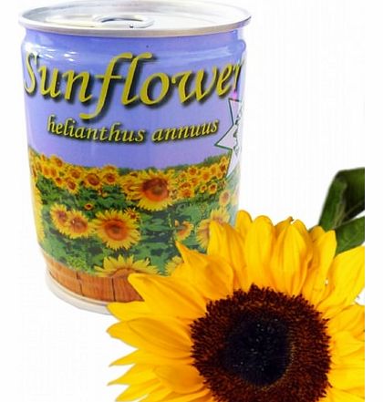 Grow Your Own Sunflower - Plant in a Tin