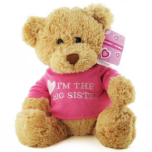 Gund Im the Big Sister Teddy Bear
