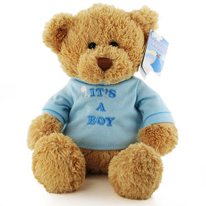 Its a Boy Teddy Bear