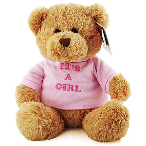 Gund Its a Girl Teddy Bear