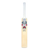 Flare DXM GM+ 808 5 Star Cricket Bat