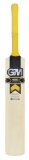 Gun and Moore Hero DXM 606 Now English Willow Cricket bat Size 5