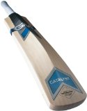Gunn & Moore Gunn and Moore Catalyst 606 Cricket Bat - GM Now! - Harrow