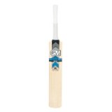 Gunn & Moore GUNN and MOORE Catalyst 909 Cricket Bat , Short Handle - Medium Weight