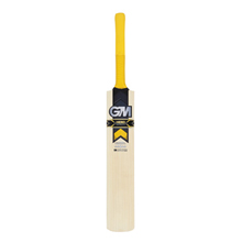 Gunn and Moore Hero DXM 505 Cricket Bat