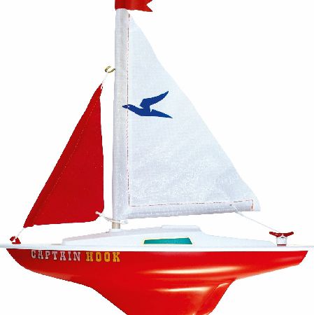Gunther Captain Hook Sailing Boat