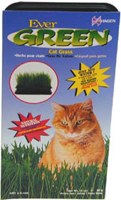 Evergreen Cat Grass 85gm