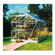 Popular 8 x 6 Aluminium Greenhouse