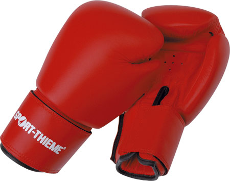 All Play Boxing Gloves