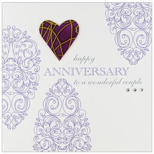 Happy Anniversary Wonderful Couple Card