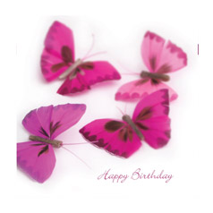 Happy Birthday - Pink Butterflies Card