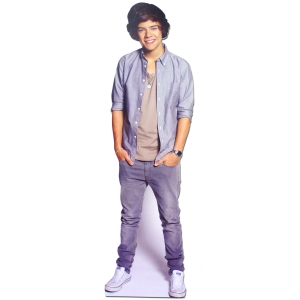 HARRY Styles One Direction Cut Out 42cm