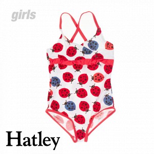 Hatley Swimsuits - Hatley Nordic Bugs Swimsuit -