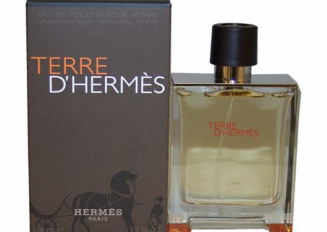 Hermes Terre DHermes Eau De Toilette Spray for Men 100ml