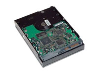HEWLETT PACKARD HP 250GB SATA 3GB NCQ 7200 HARD DISK DRIVE