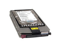 HEWLETT PACKARD HP hard drive - 1 TB - SATA-300
