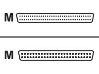 Hewlett Packard SCSI external cable - 50 pin HD D-Sub - male - 68 pin HD D-Sub - male - 1 m