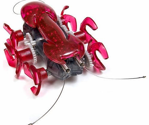 Hexbug Mechanical Hexbug Ant - Red