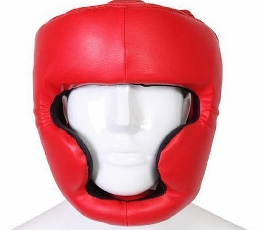 Hit Em Hard  Head Guard Face Protection MMA Boxing Martial Arts Protector Helmet Rex Leather