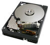 HITACHI Deskstar 7K500 - 500 GB - 7200 RPM - 8 MB -