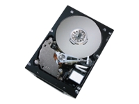 Ultrastar 10K300 - hard drive - 147 GB - Ultra320 SC