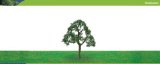 Hornby Hobbies Ltd Hornby R8909 Live Oak 100mm 00 Gauge Skale Scenics Professional Trees
