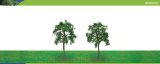 Hornby Hobbies Ltd Hornby R8921 Ash Tree 75mm Pk 2 00 Gauge Skale Scenics Professional Trees