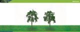 Hornby Hobbies Ltd Hornby R8922 Ash Tree 100mm Pk 2 00 Gauge Skale Scenics Professional Trees