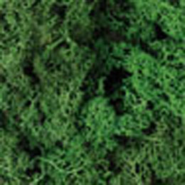 Hornby Light Green Lichen