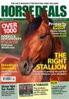 Horse Deals Annual Direct Debit - 12 Issues for