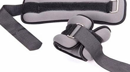 HOULIZHEN WEamp;ZHE Weight Sandbags Leggings Invisible A wrist Boxing training Adjustable Running Strap Sports equipment For home or studio 2 x 1lb , 1kg