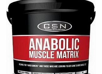 HSN 4Kg Anabolic Muscle Matrix Berries and Cream Powder