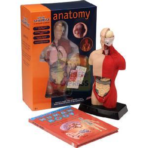 Humbrol Joustra Young Scientist Anatomy Set