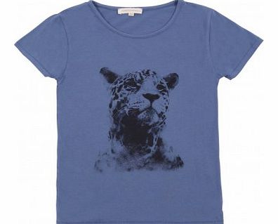 Shark T-shirt Denim blue `12 years,14 years,16