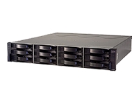 IBM System Storage DS3300 Model 31E - hard drive array