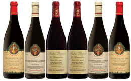 Iconic Red Burgundy - Mixed case