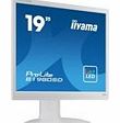 Iiyama 19 White LED/TFT Monitor 1280 x 1024